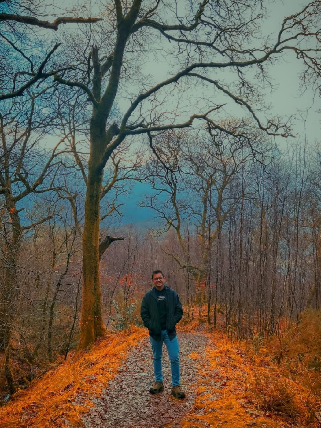 Photography by Kshitij — autumn woods