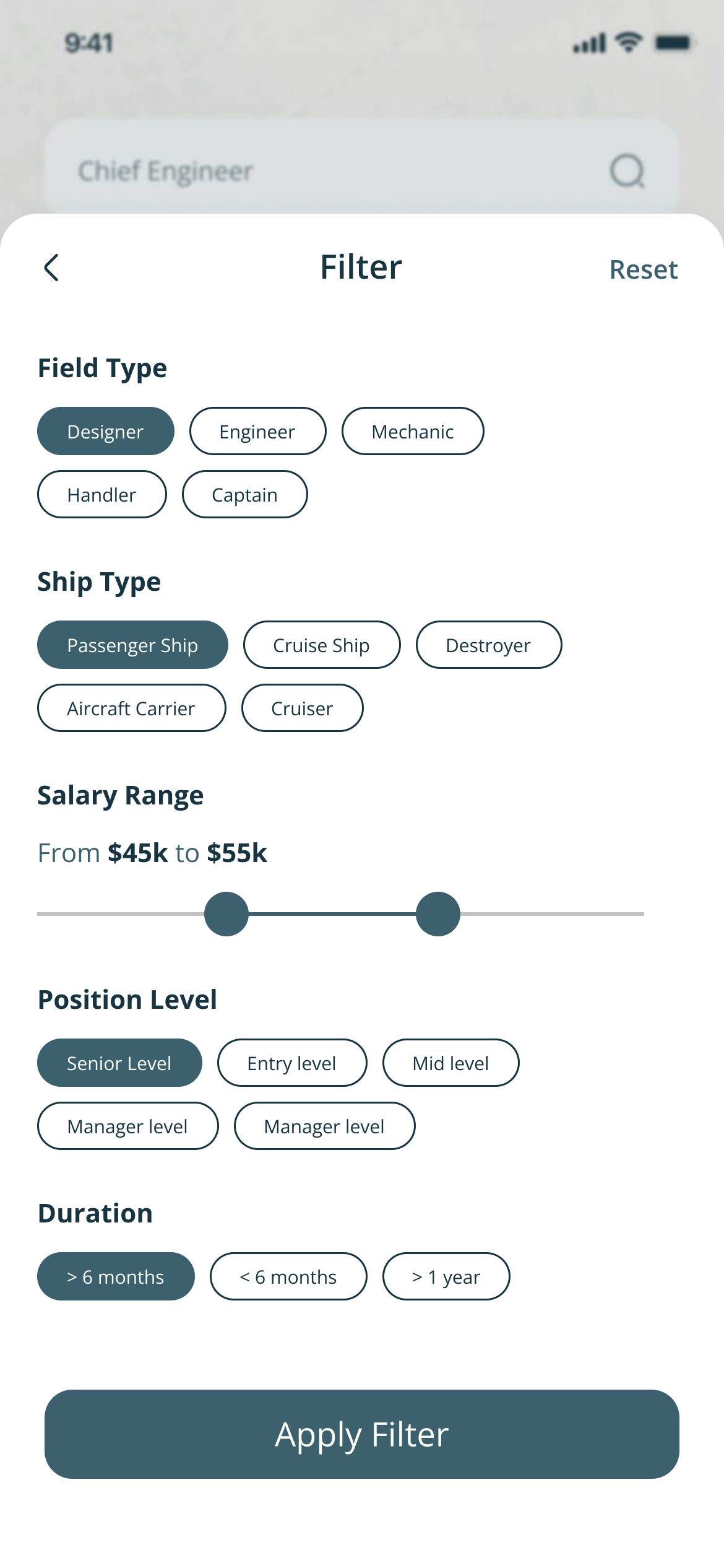 Filter: field type chips, ship types such as Passenger Ship, Cruise Ship and Aircraft Carrier, a salary range slider, position level and duration